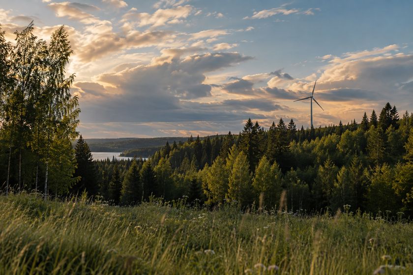 Tuulivoimala suomalaisen kesämetsän yllä